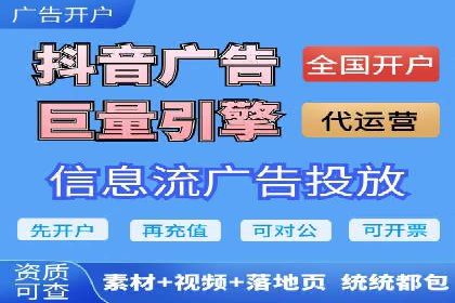 案例对比：不同竞价广告平台的优劣
